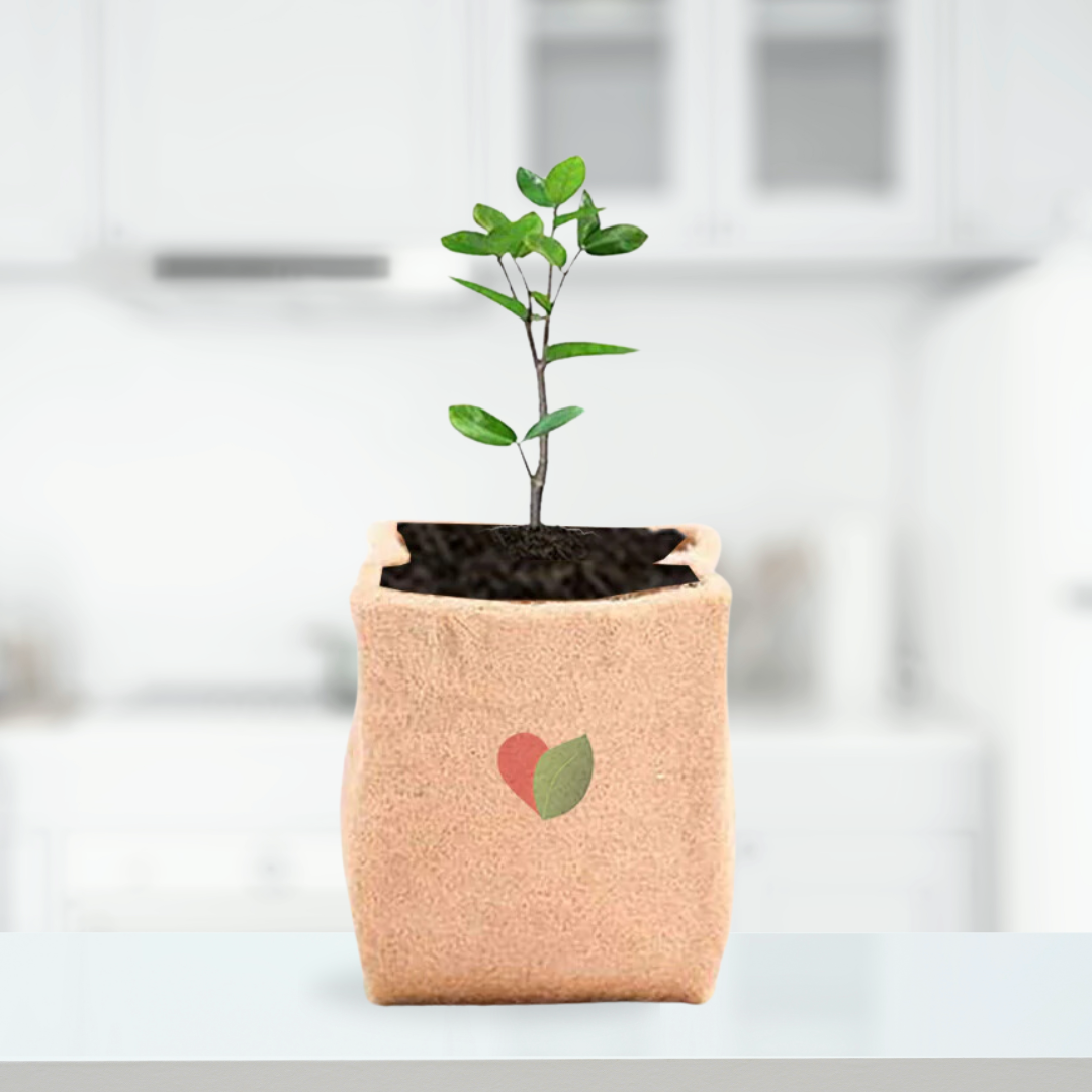 Jute discount bag planters