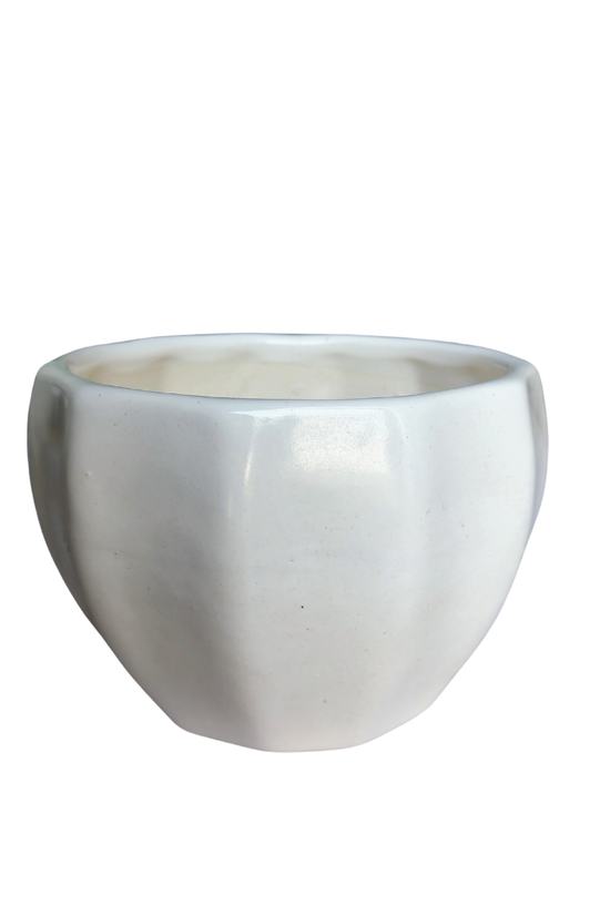 Minimalist white ceramic planter 13 cm x 10 cm