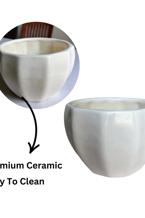 Minimalist white ceramic planter 13 cm x 10 cm