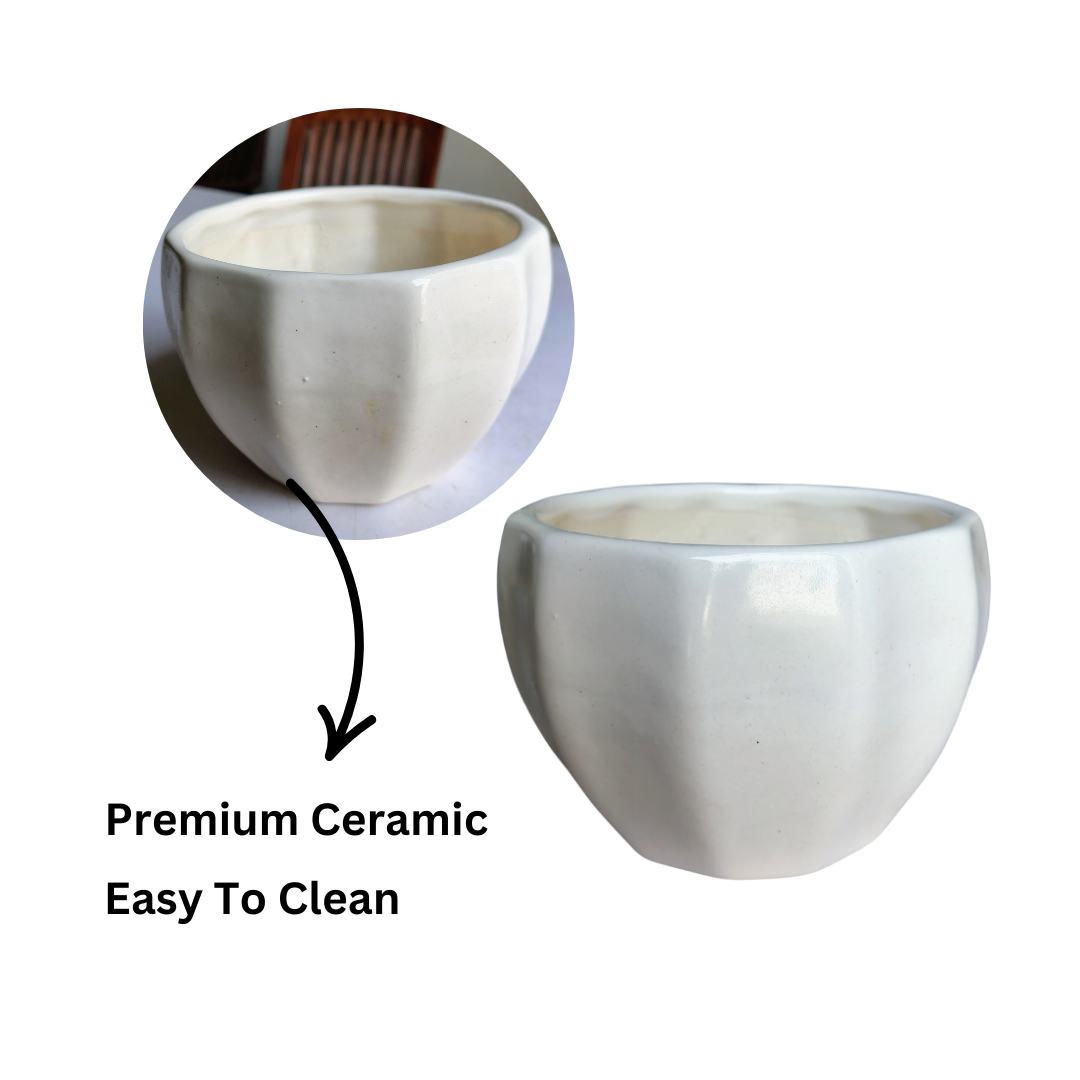 Minimalist white ceramic planter 13 cm x 10 cm
