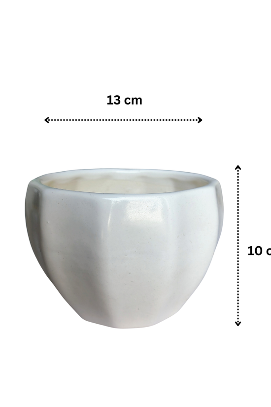 Minimalist white ceramic planter 13 cm x 10 cm