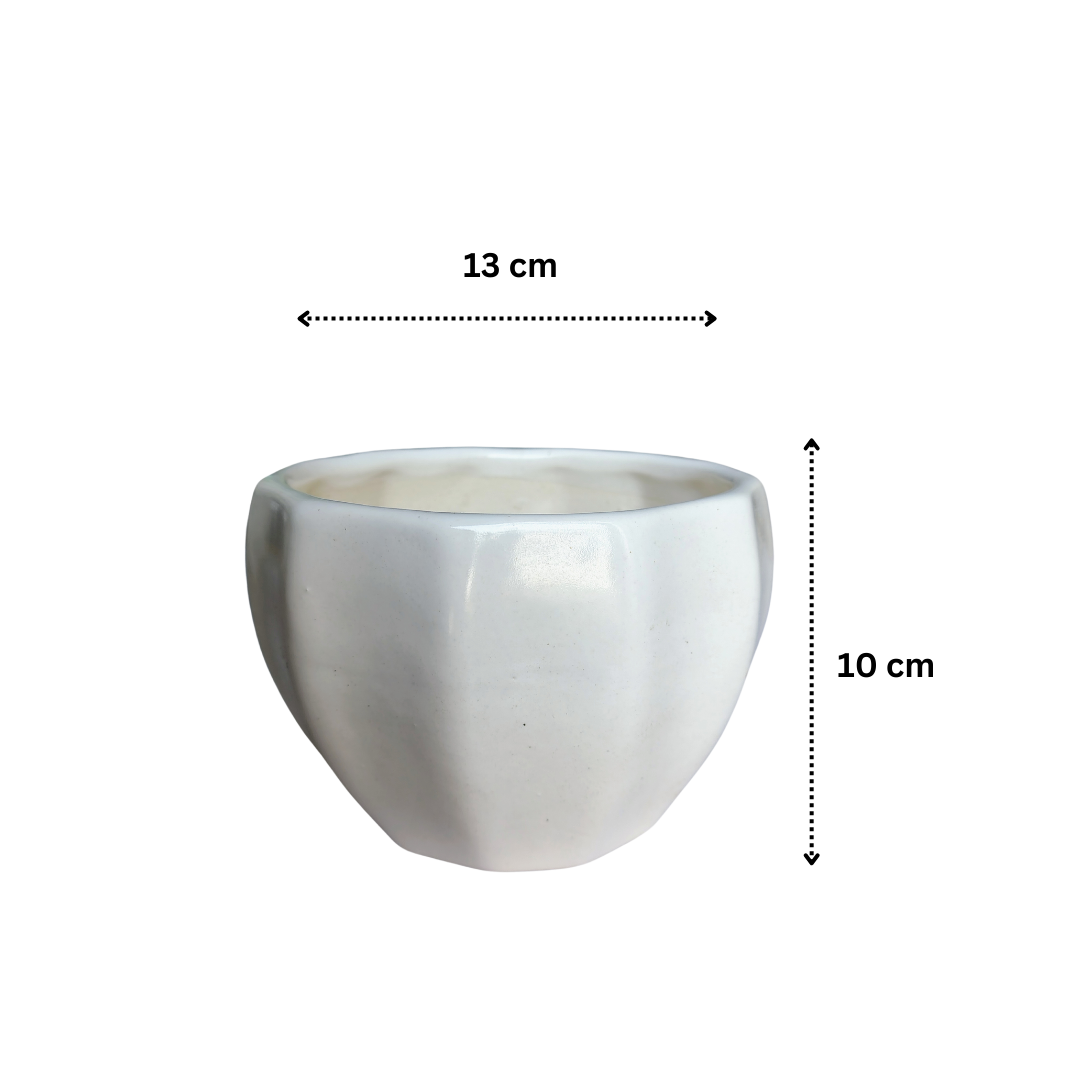 Minimalist white ceramic planter 13 cm x 10 cm