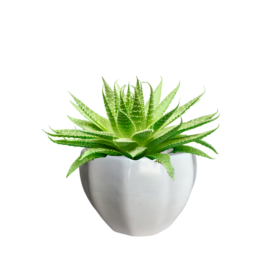 Minimalist white ceramic planter 13 cm x 10 cm