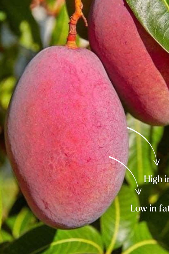 Mangoes on a tree with text indicating they are high in fiber and low in fat.