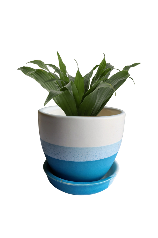 Blue gradient ceramic planter with drainage plate