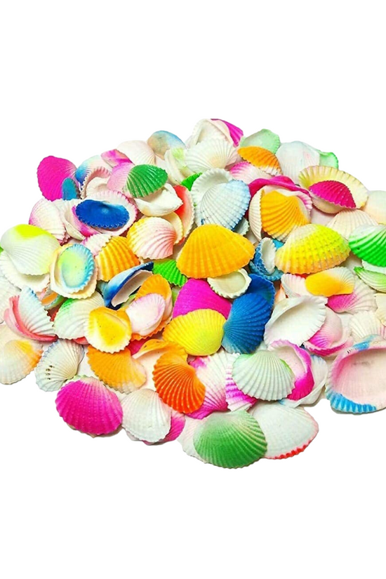 Mixed sea shells for home or plant decor
