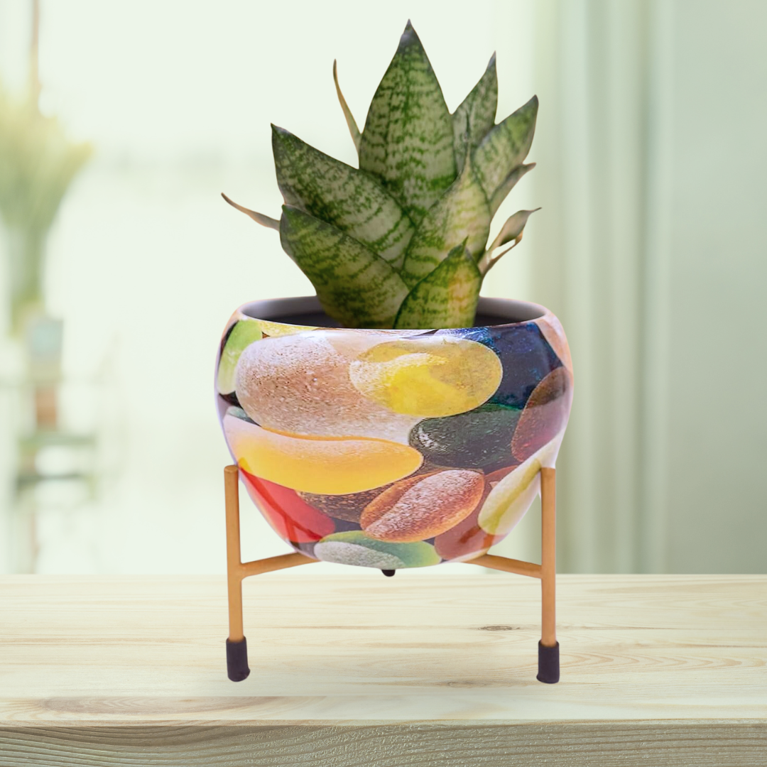 Multi-color pebble design planter
