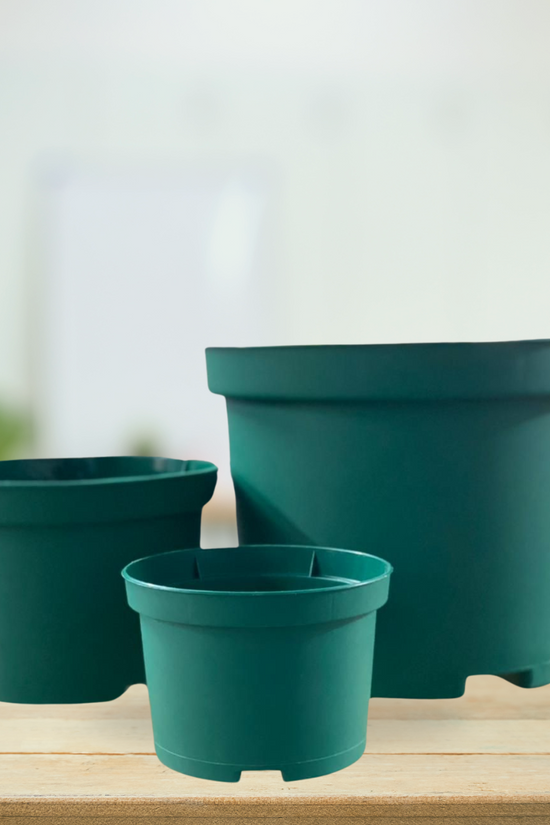 Nature-inspired plastic planter
