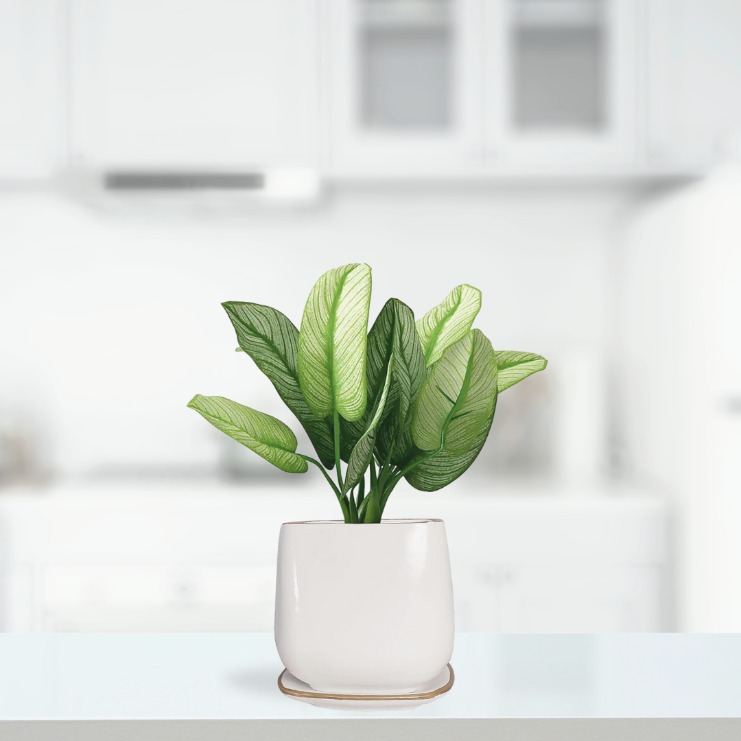 Elegant ceramic pot with gold detailing

