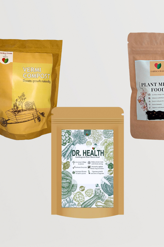 Wellness plant bundle for healthy living