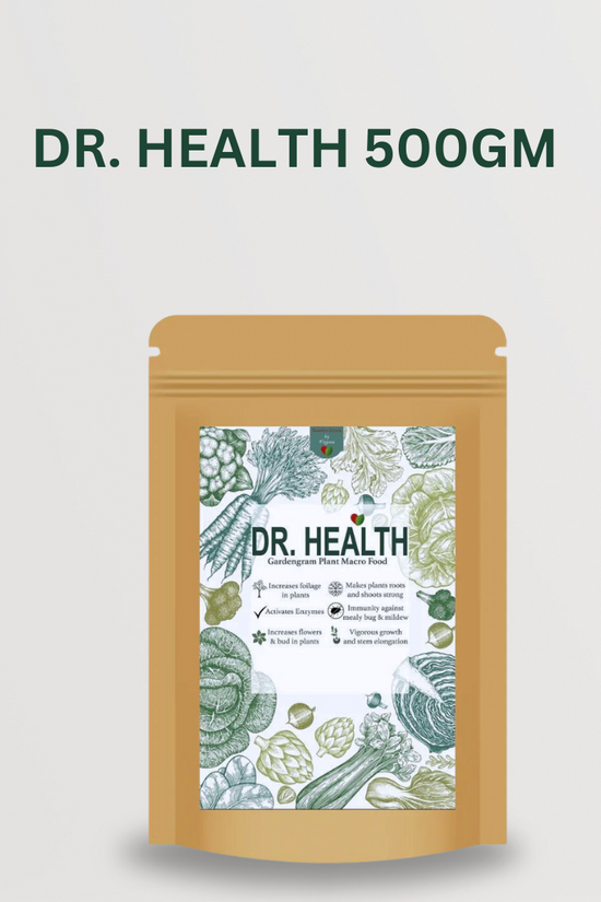 Wellness plant bundle for healthy living