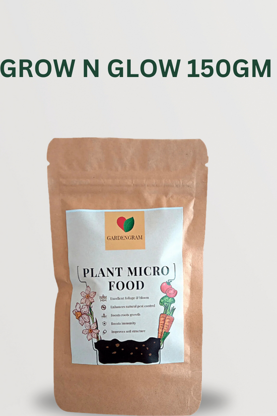 Wellness plant bundle for healthy living