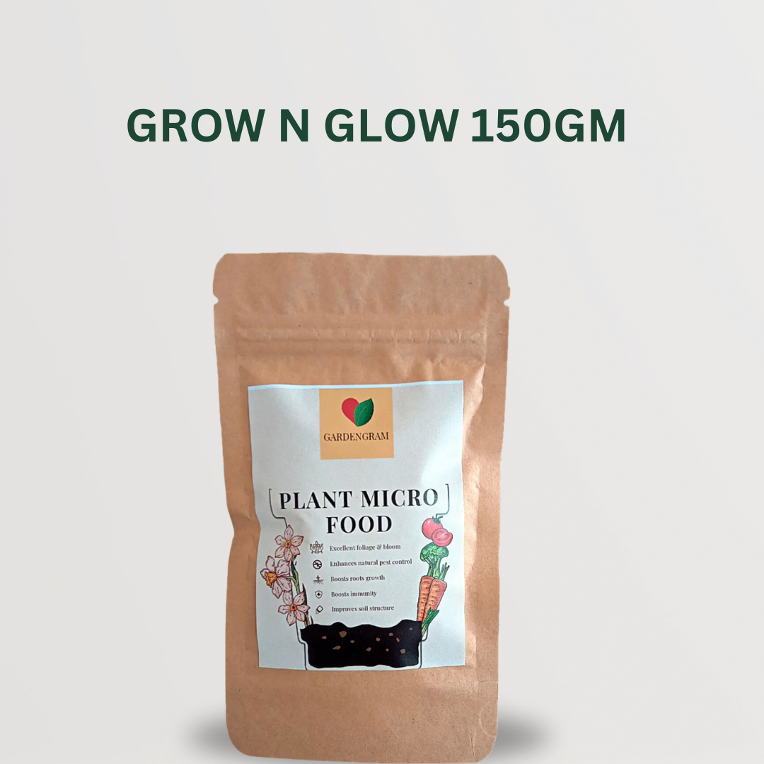 Wellness plant bundle for healthy living