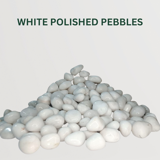 Pebbles Set of 3  White Polished Pebbles- Gardengram