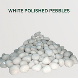 Pebbles Set of 3  White Polished Pebbles- Gardengram