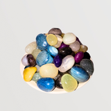 Pebble Duo Pack Multicolored Polished Pebbles - Gardengram