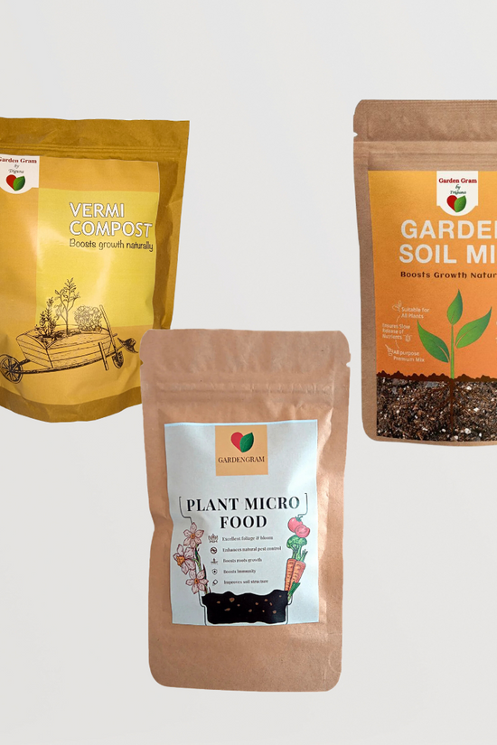 Plant care essentials combo
