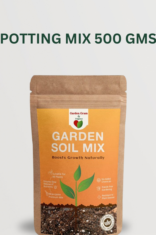 Plant care essentials combo
