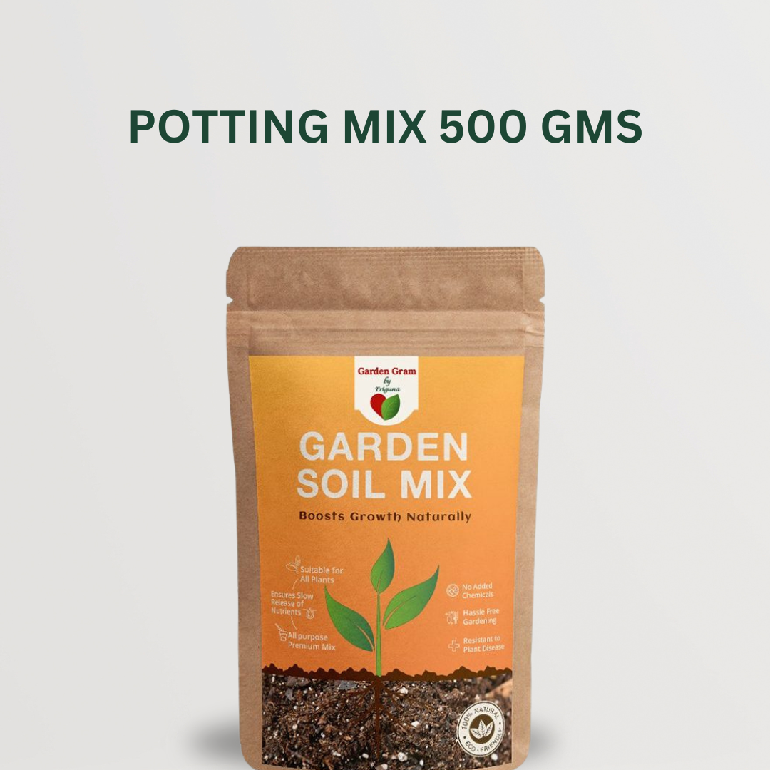 Plant care essentials combo
