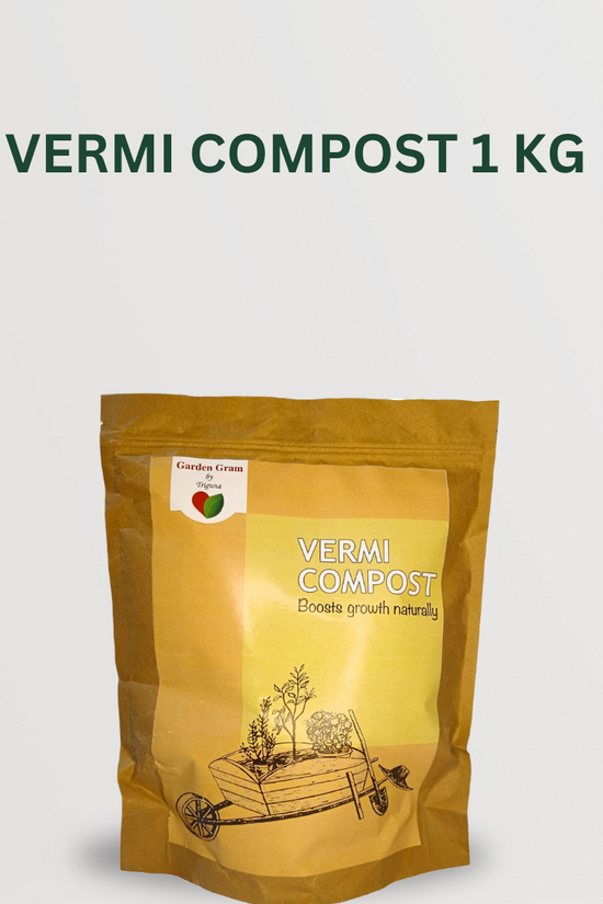 Plant care essentials combo
