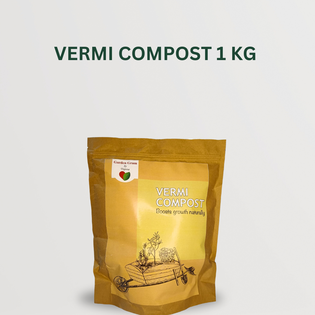 Plant care essentials combo
