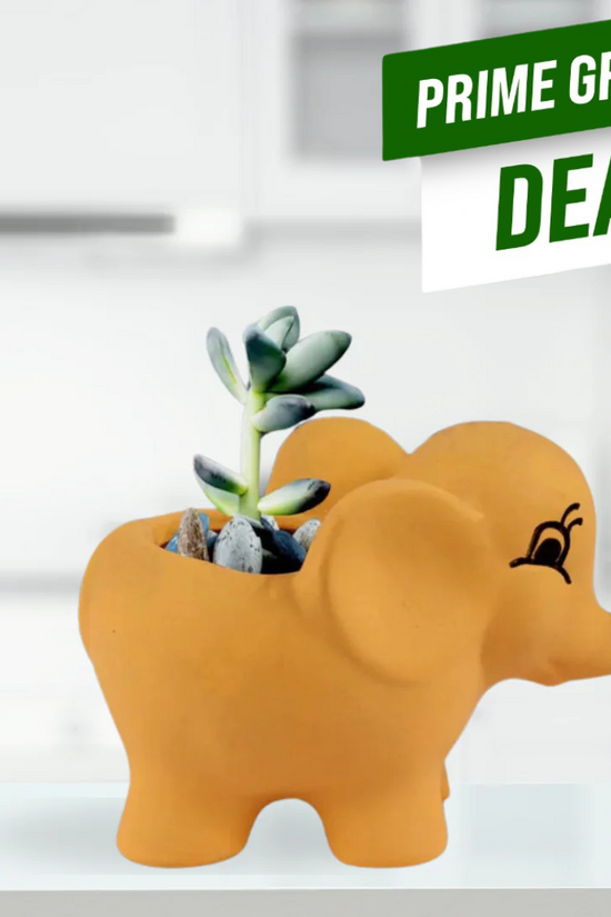 Orange elephant-shaped planter with succulents on a white background, featuring a 'Prime Green Deal' label.