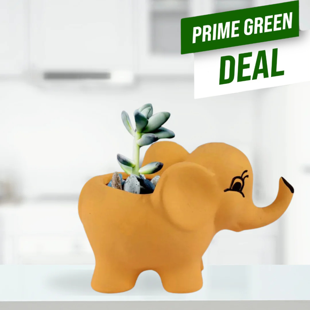 Orange elephant-shaped planter with succulents on a white background, featuring a 'Prime Green Deal' label.