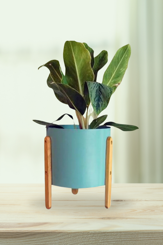 Powder blue metallic planter
