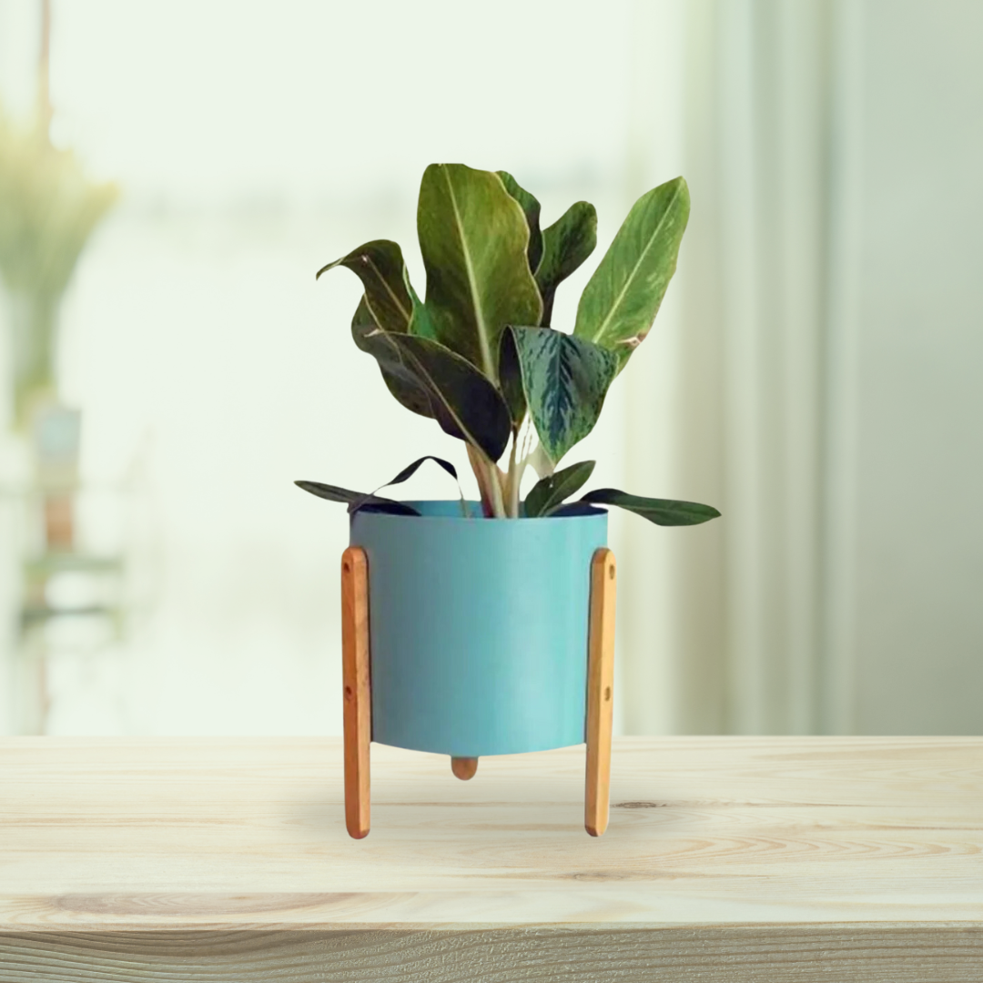 Powder blue metallic planter
