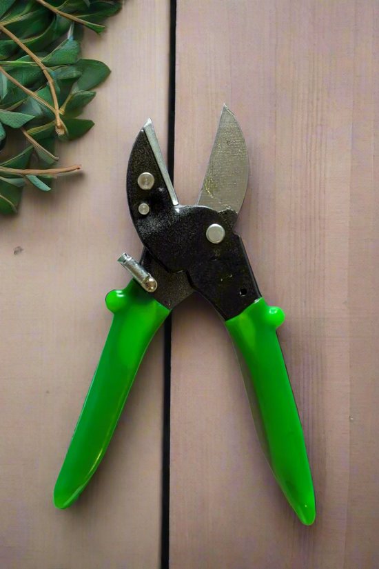 Garden pruner with green handles on a white background