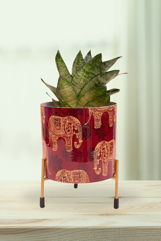 Red elephant print flower pot
