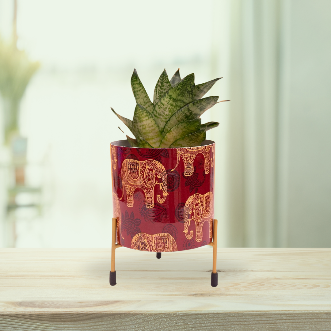 Red elephant print flower pot
