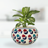 Round Hand Painted Ceramic Pot - Gardengram