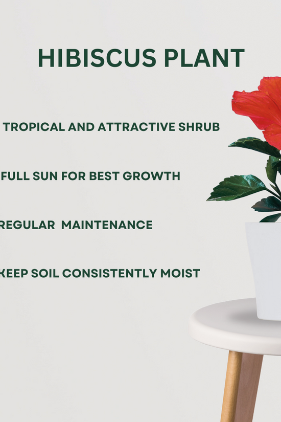 Sacred flowering plant trio