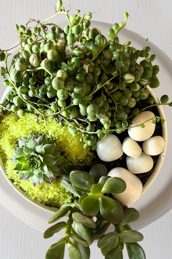 Premium garden delight gift set
