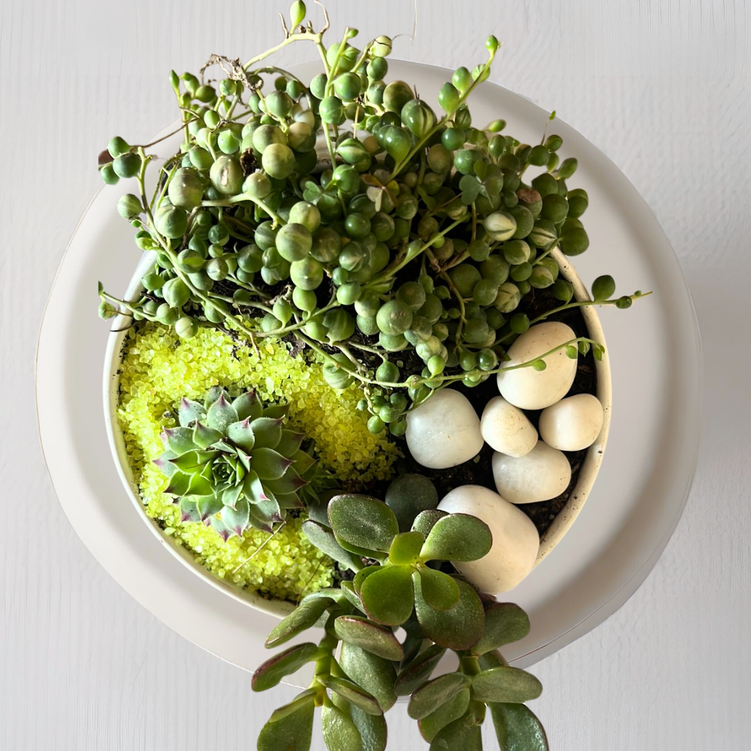 Premium garden delight gift set
