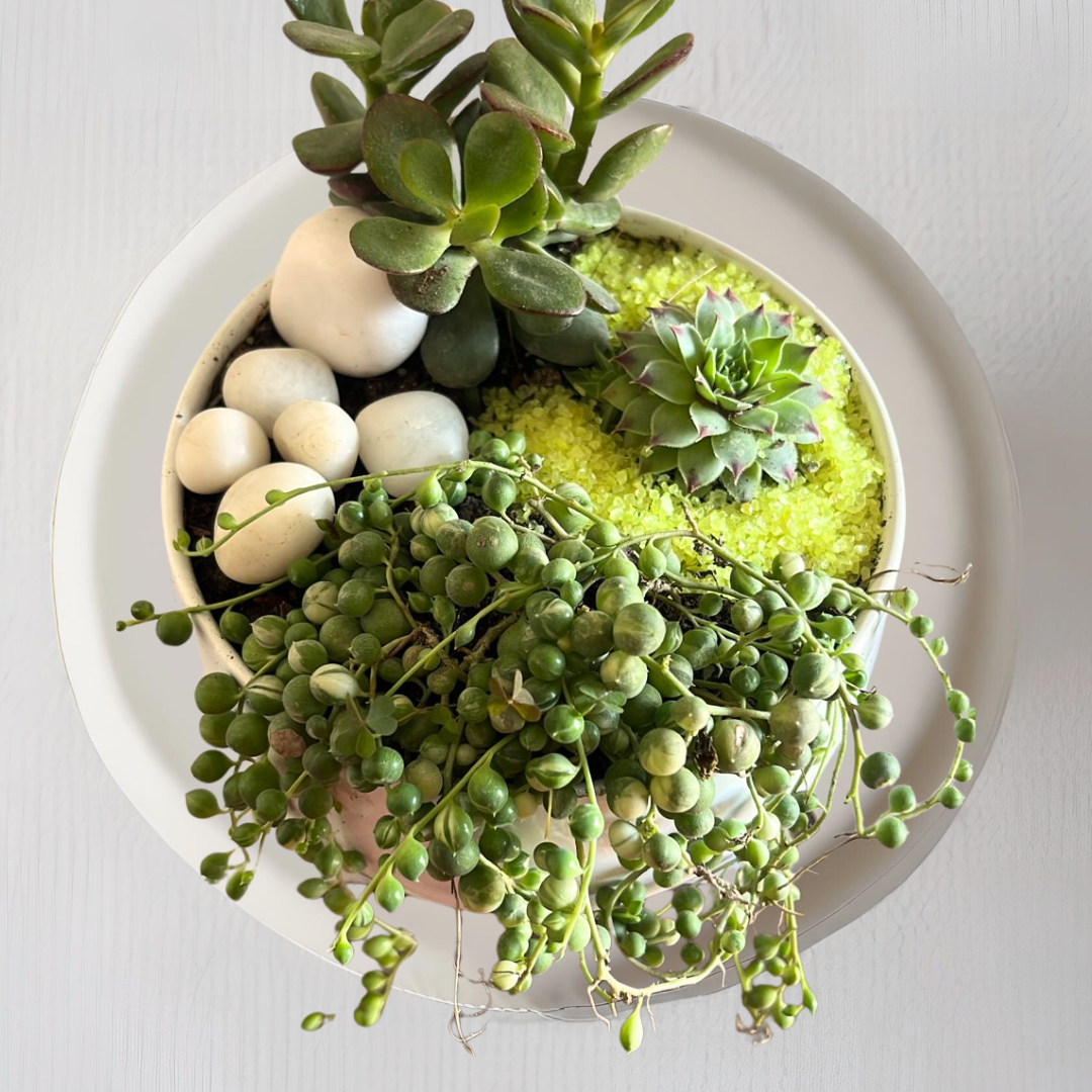 Premium garden delight gift set
