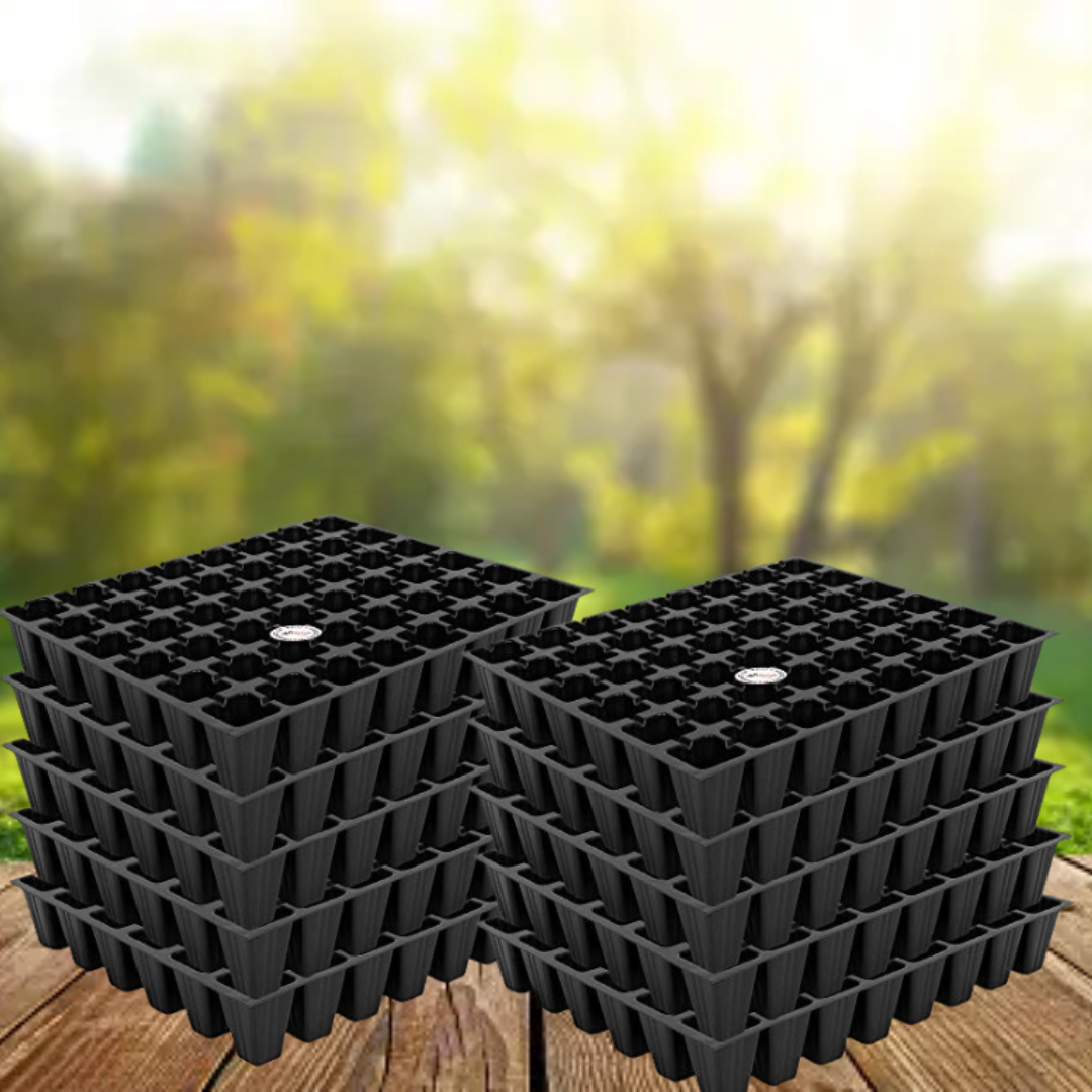 50-hole plastic seedling tray
