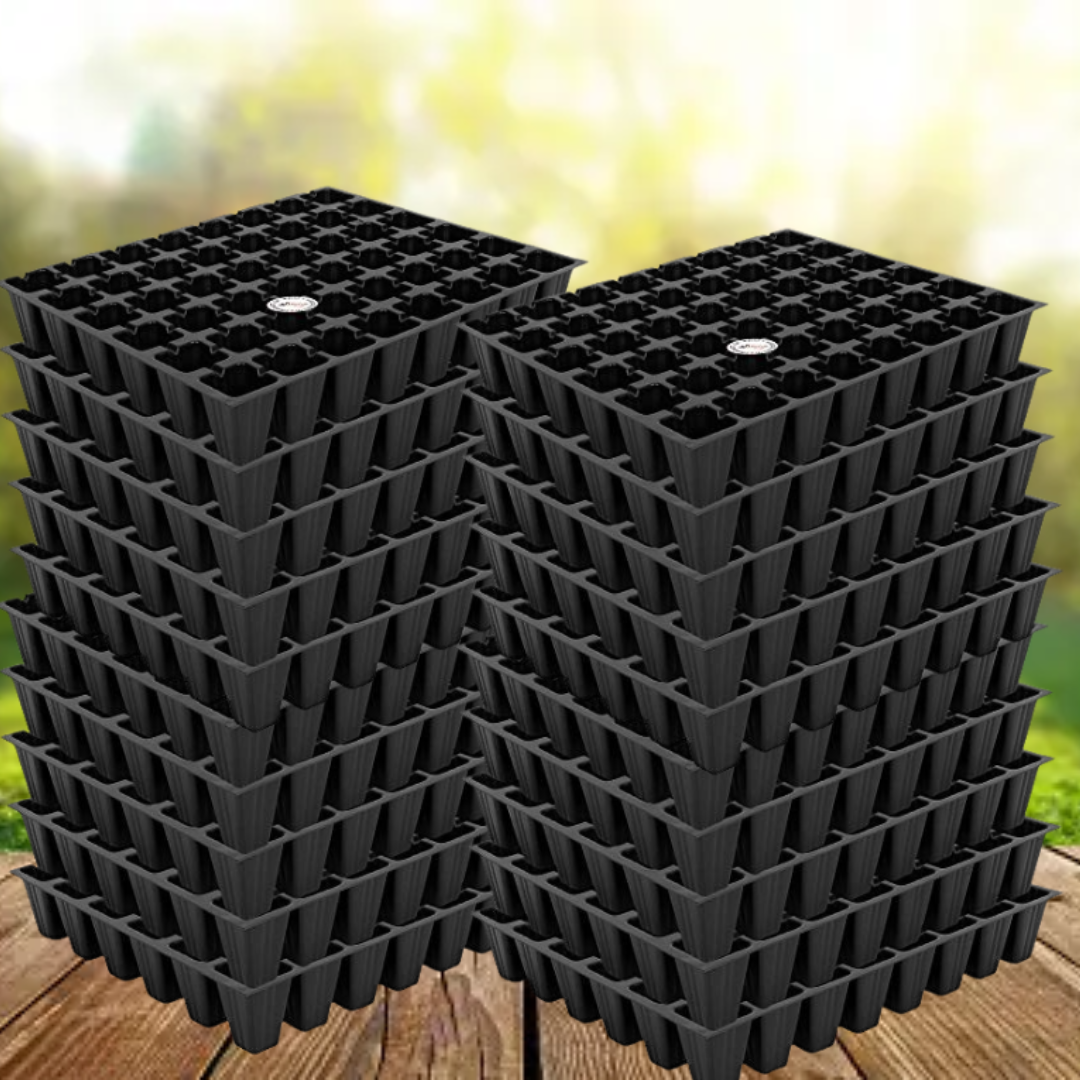 50-hole plastic seedling tray
