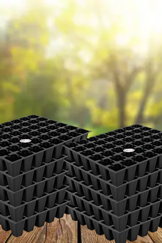 50-hole plastic seedling tray
