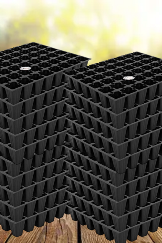 50-hole plastic seedling tray
