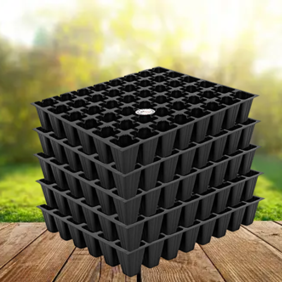 50-hole plastic seedling tray
