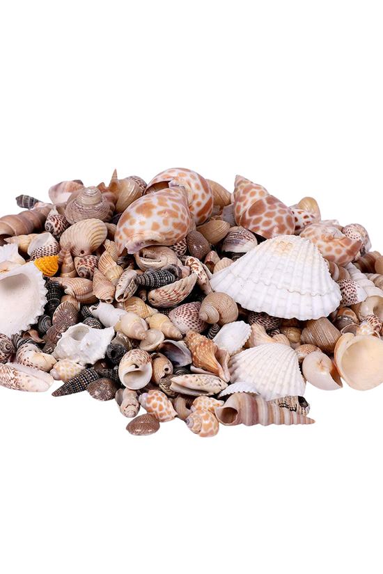 Mix of sea shells and pebbles
