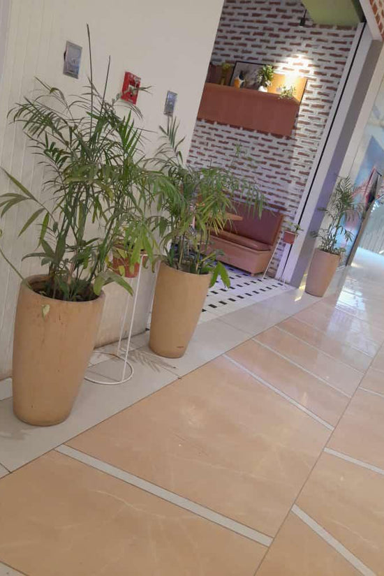 Tolly series premium plastic planter
