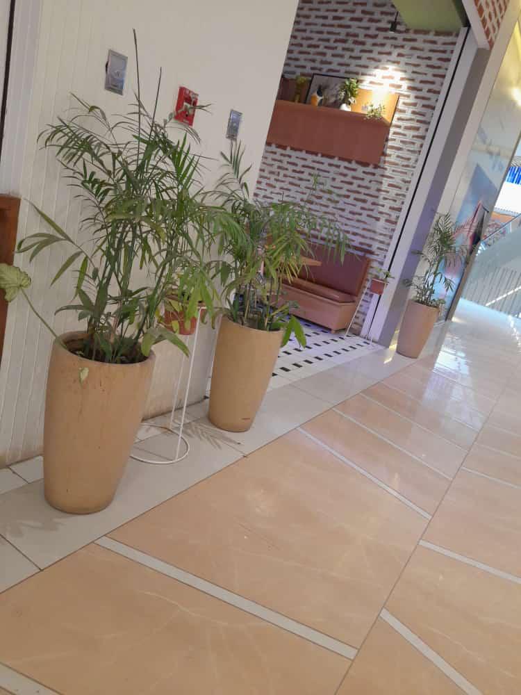 Tolly series premium plastic planter
