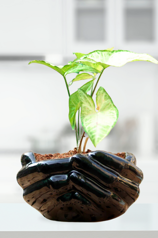Giving Hand black decorative planter
