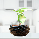 The Giving Hand Black Ceramic Pot | 20 Cm L, 16 Cm W, 10 Cm H - Gardengram