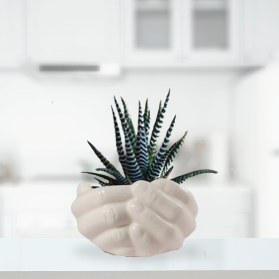 Giving hand ceramic planter - white