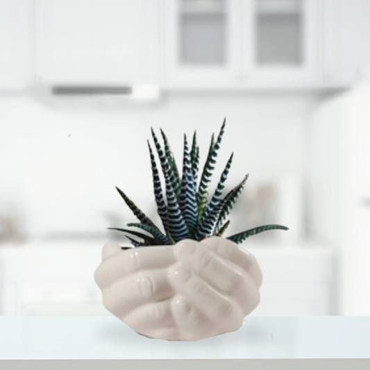 Giving hand ceramic planter - white