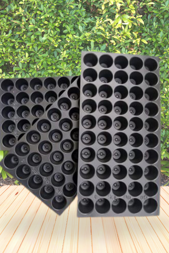 50-hole plastic seedling tray
